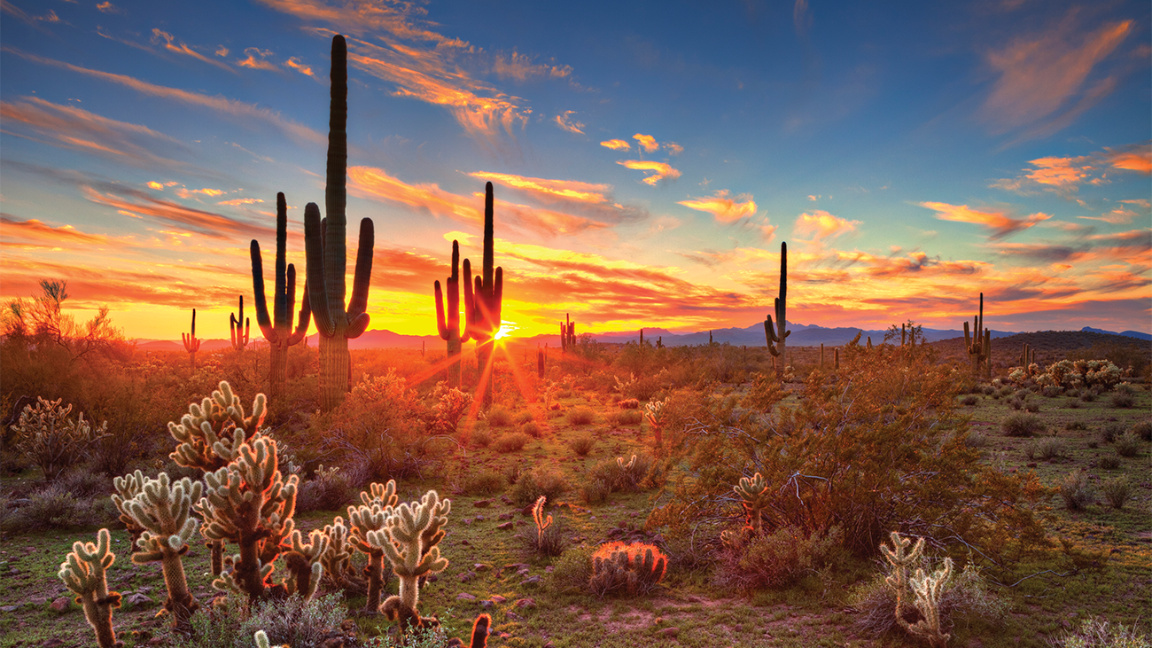 Arizona Desert Sunset
