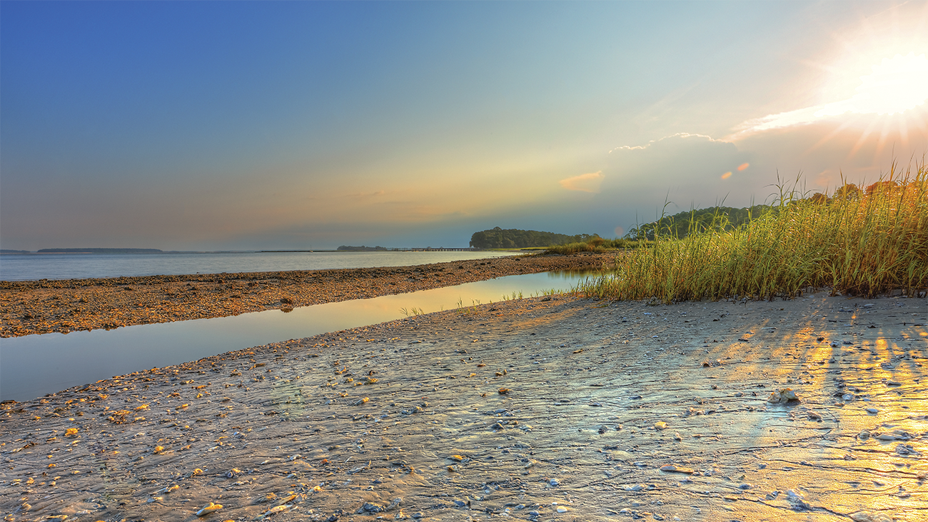 South Carolina scenic sunset