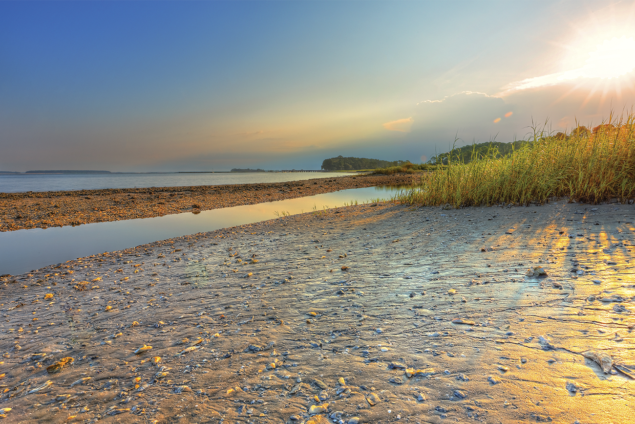 South Carolina scenic sunset