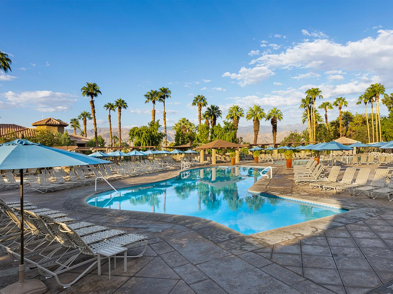 Palmeras Pool