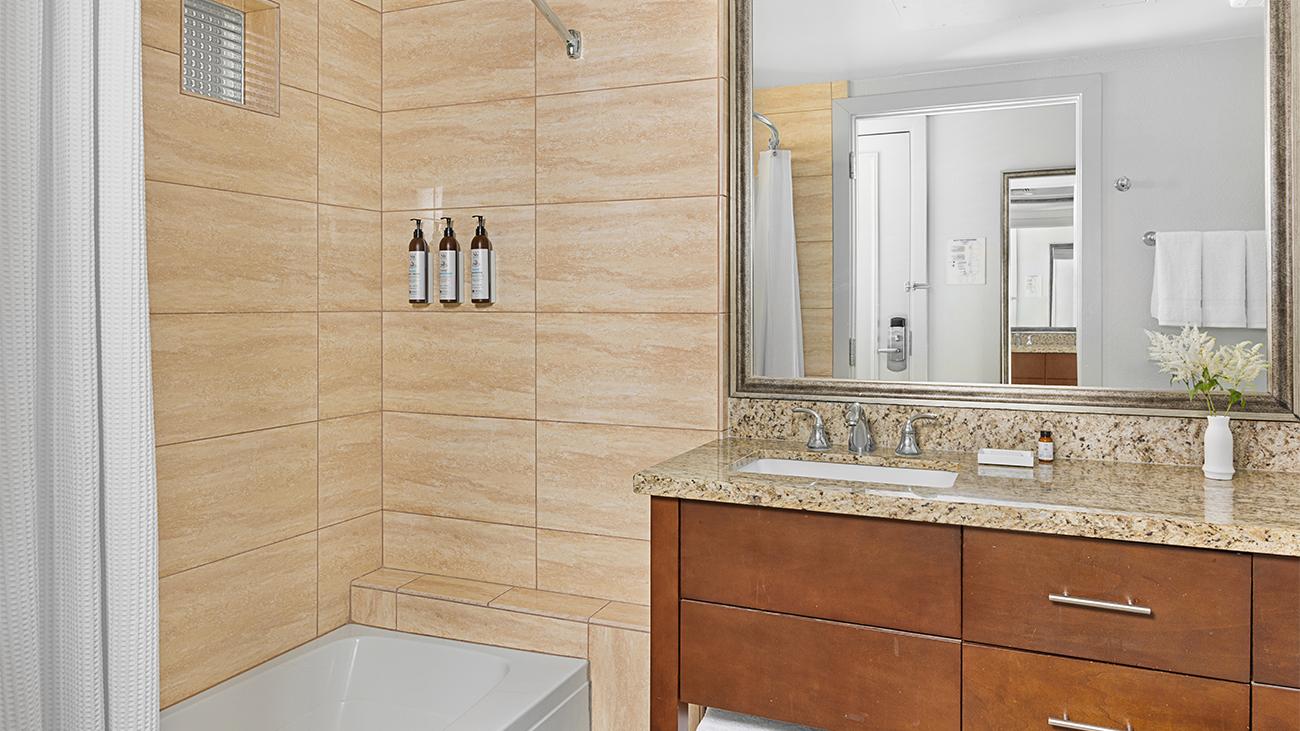 ds-two-bedroom-and-guestroom-guest-bathroom-interior-photo