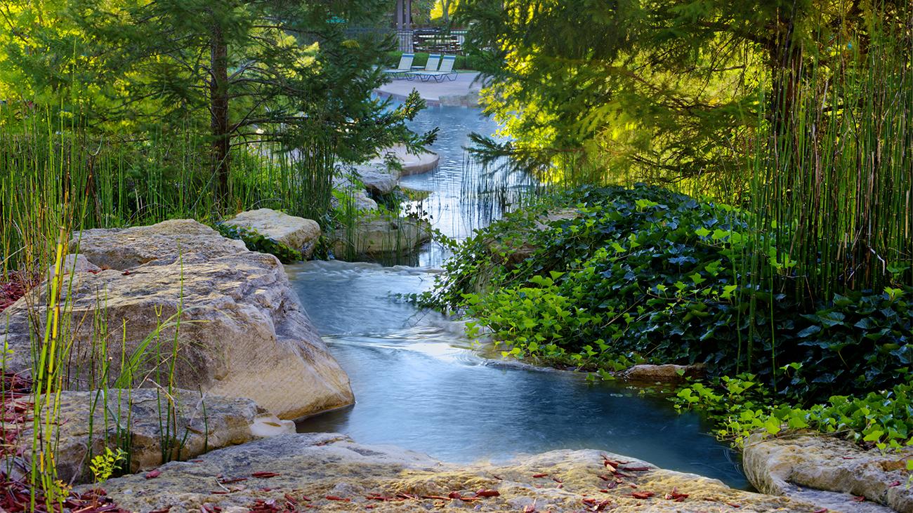 Resort Grounds
