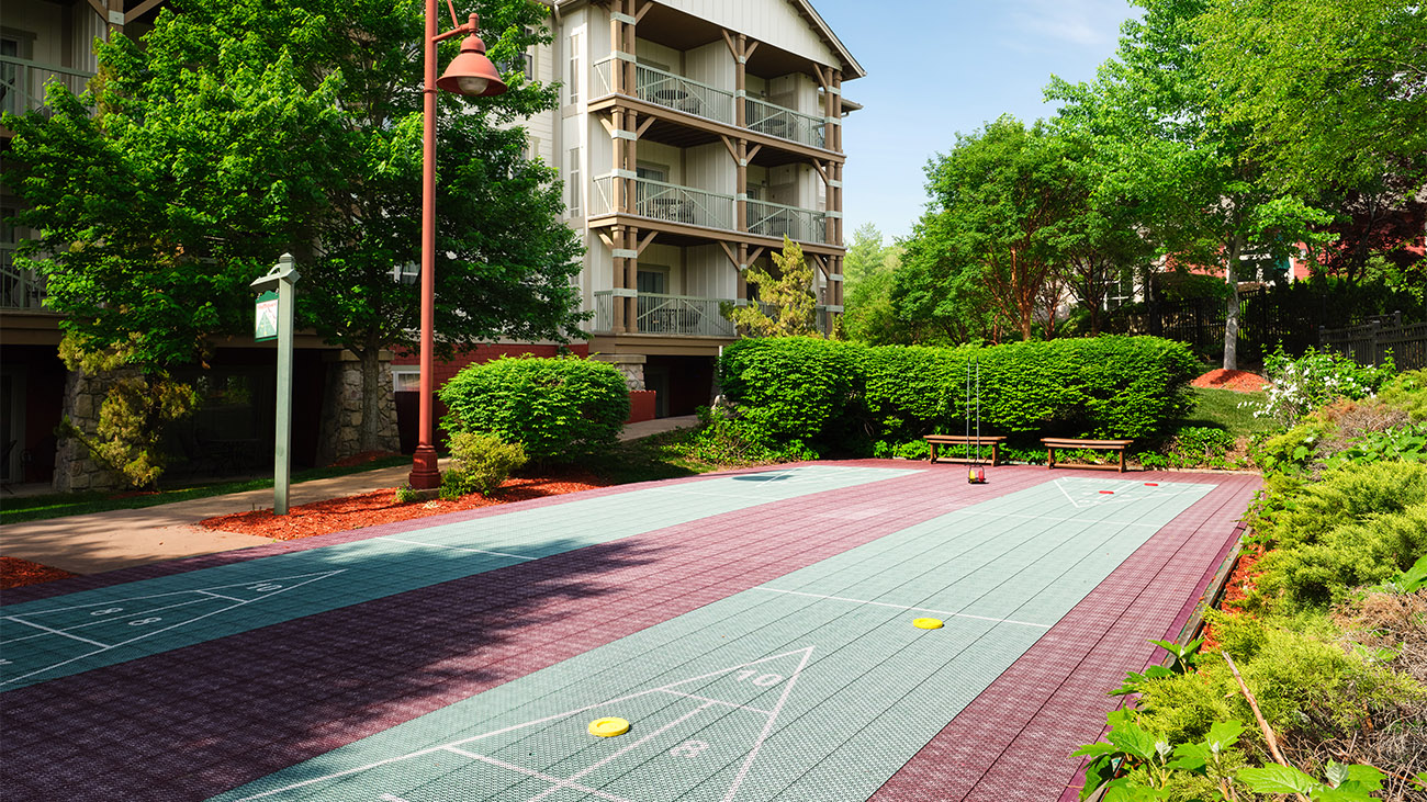 Shuffleboard