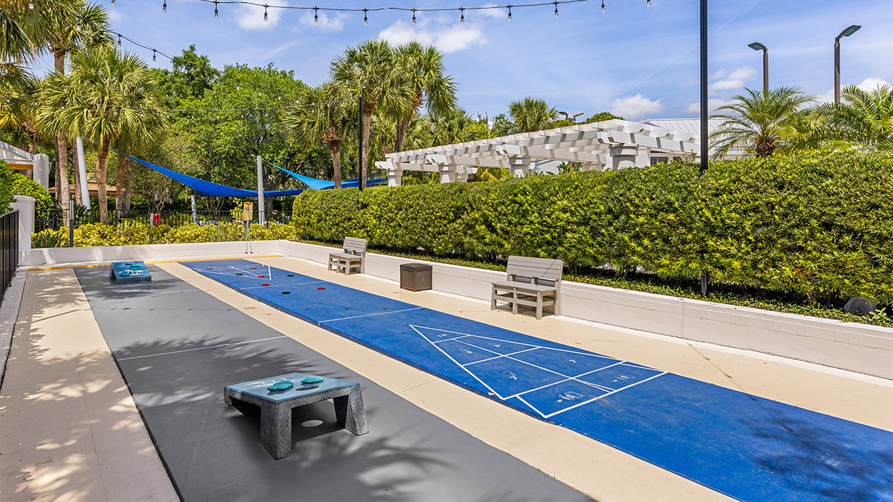 Shuffleboard Court