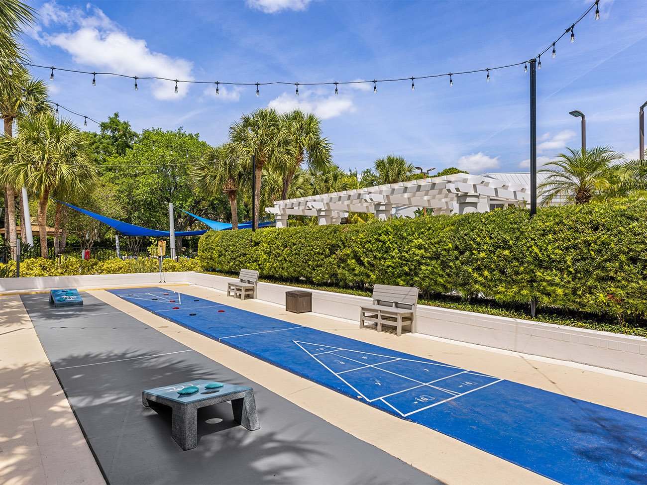 Shuffleboard Court