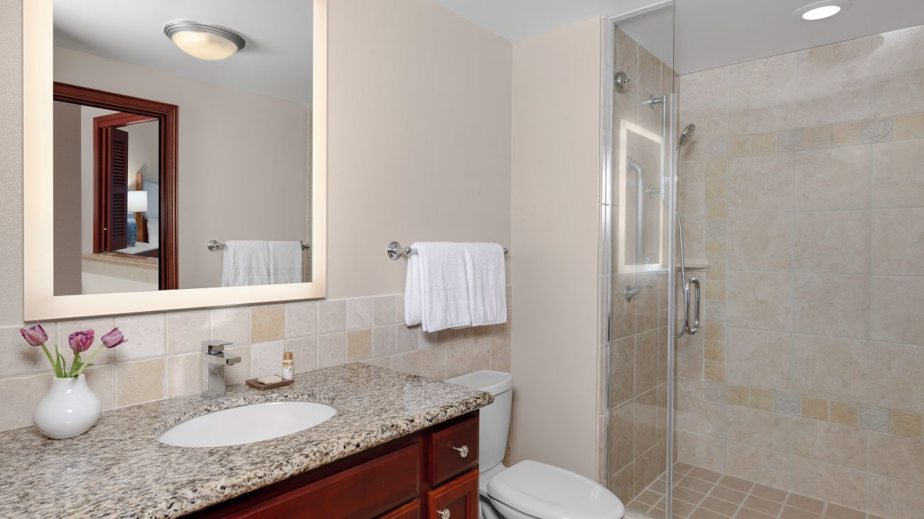 Villa Primary Bathroom