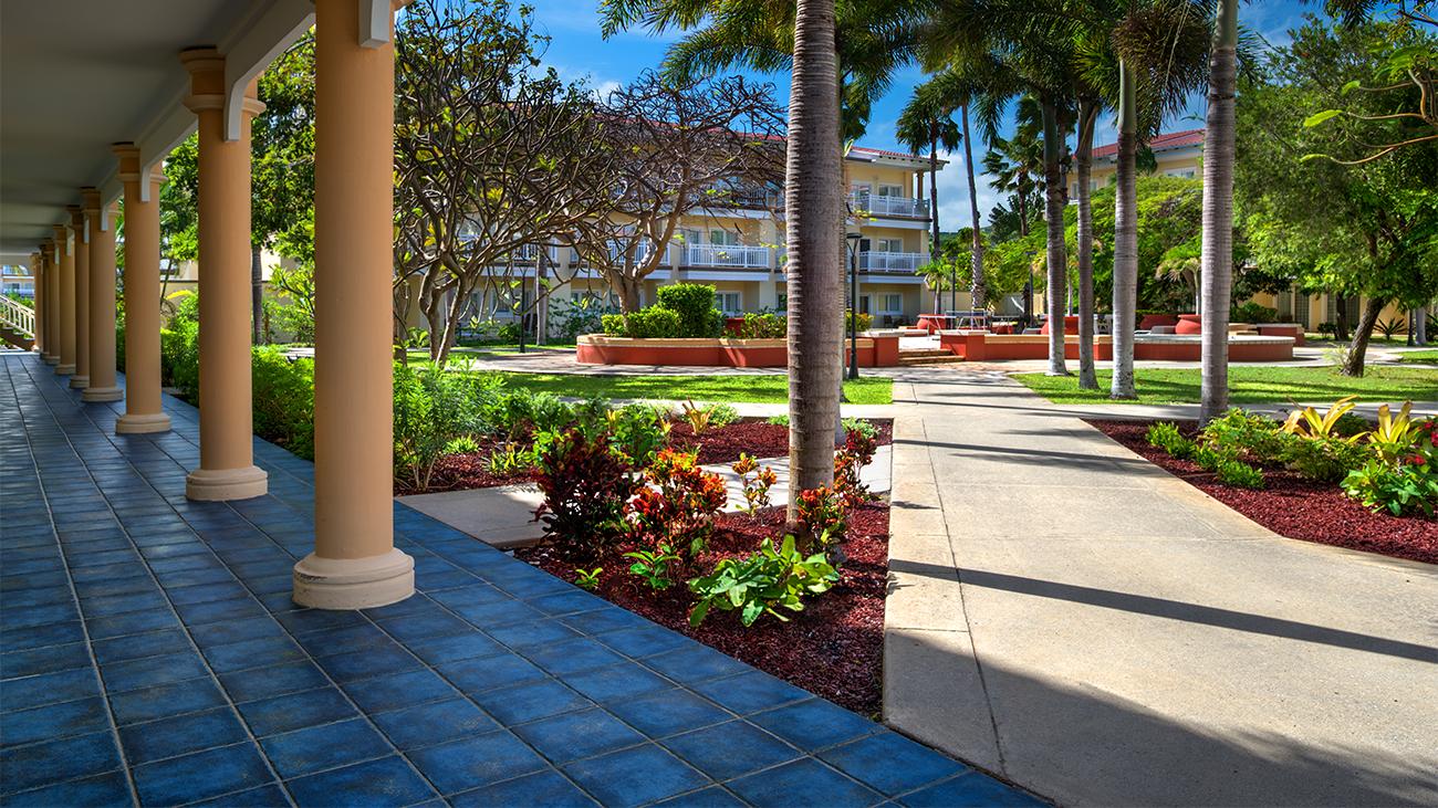 Resort Grounds