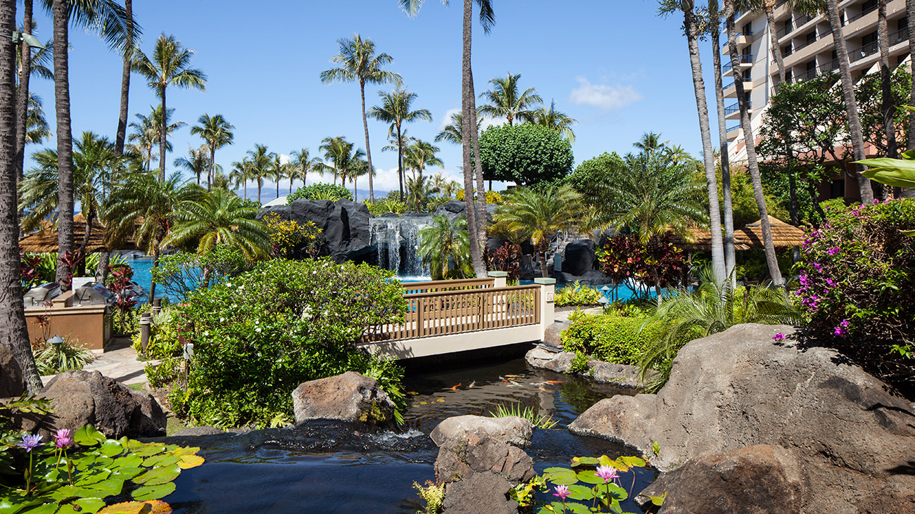 Resort Overview image for 