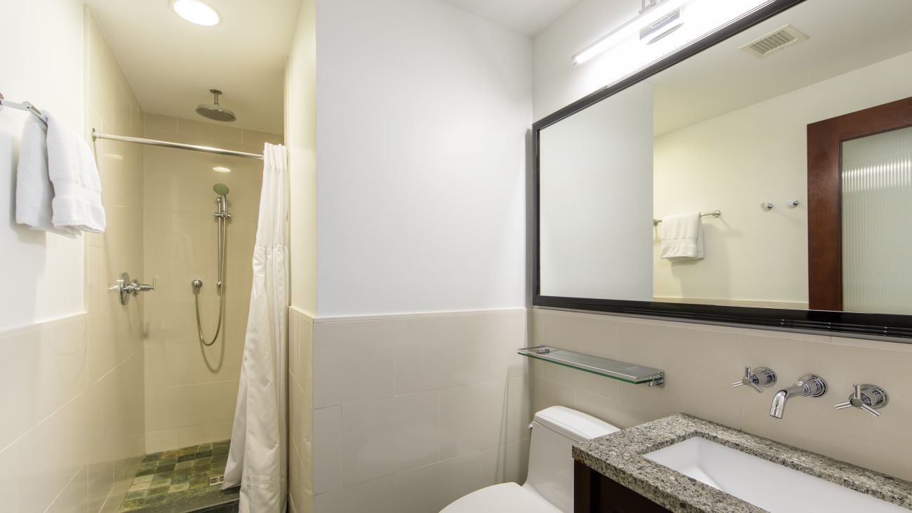 ny-deluxe-double-eddb-bathroom-interior-photo