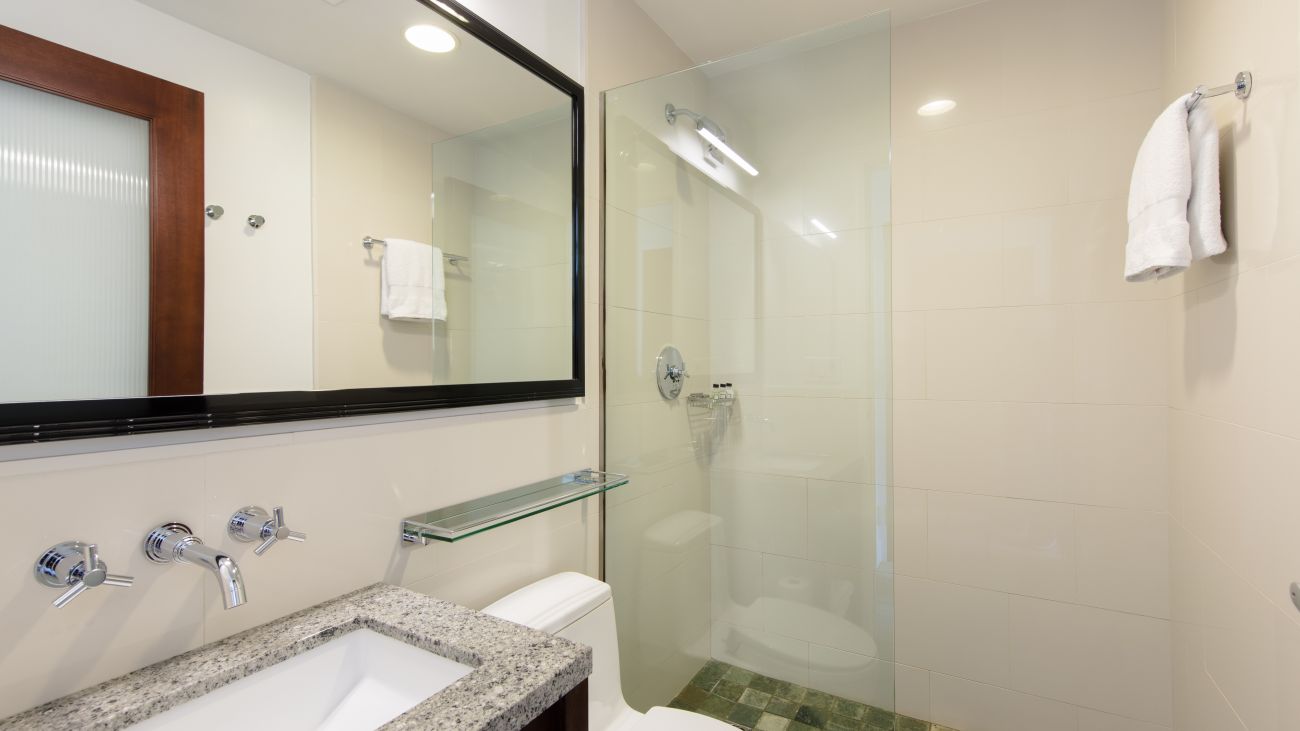 ny-queen-guestroom-quen-bathroom-interior-photo
