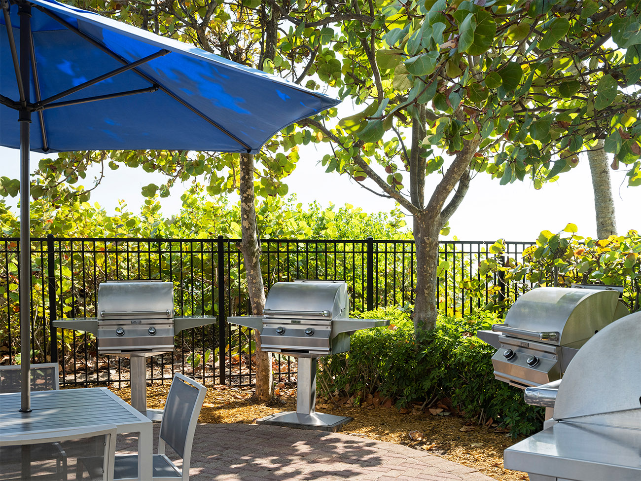 BBQ Grill