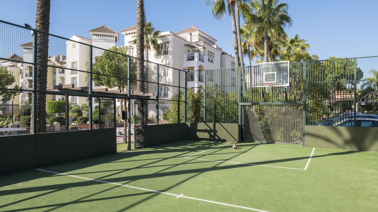 Basketball Court