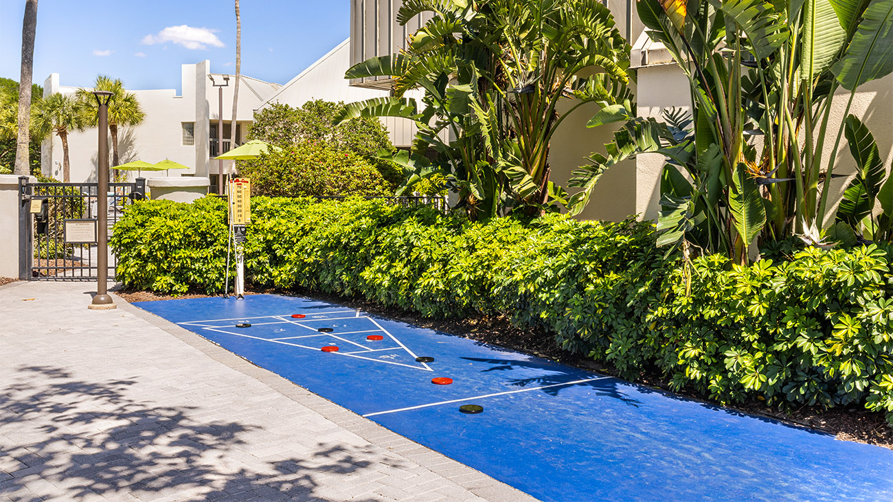 Shuffleboard Court