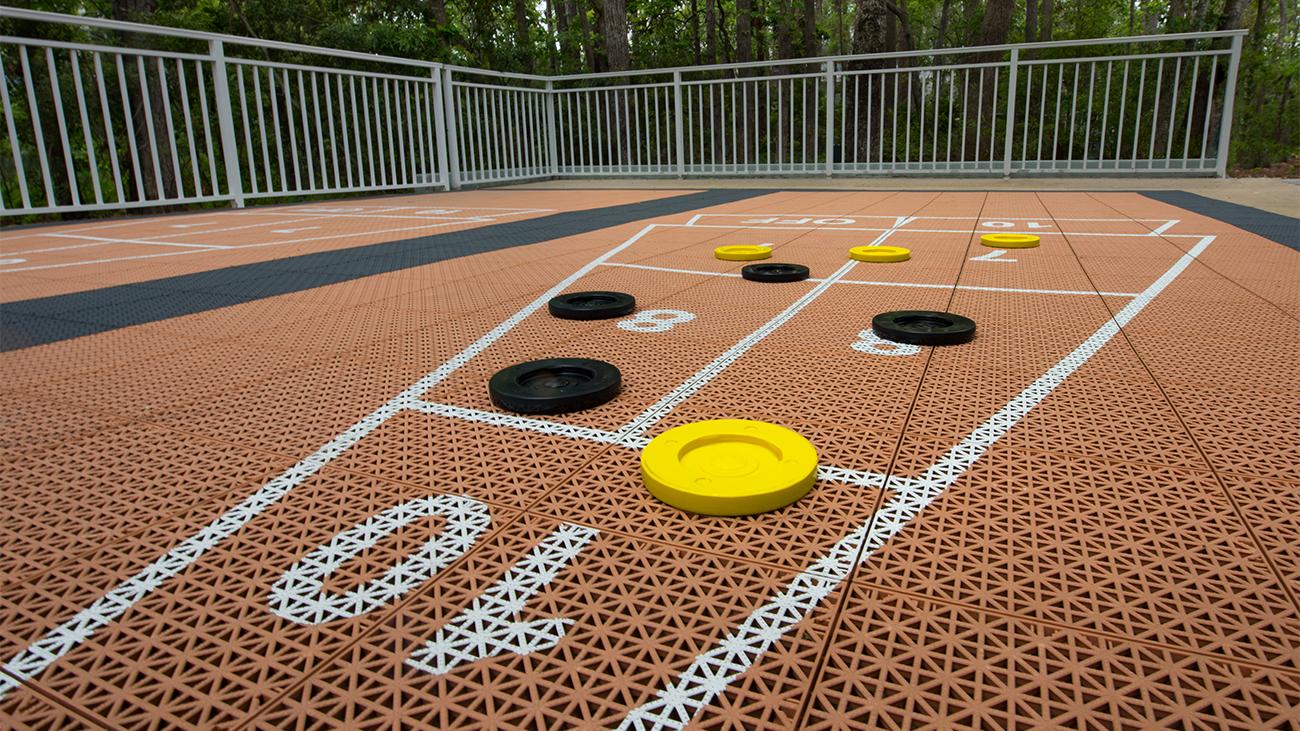 Shuffleboard Court