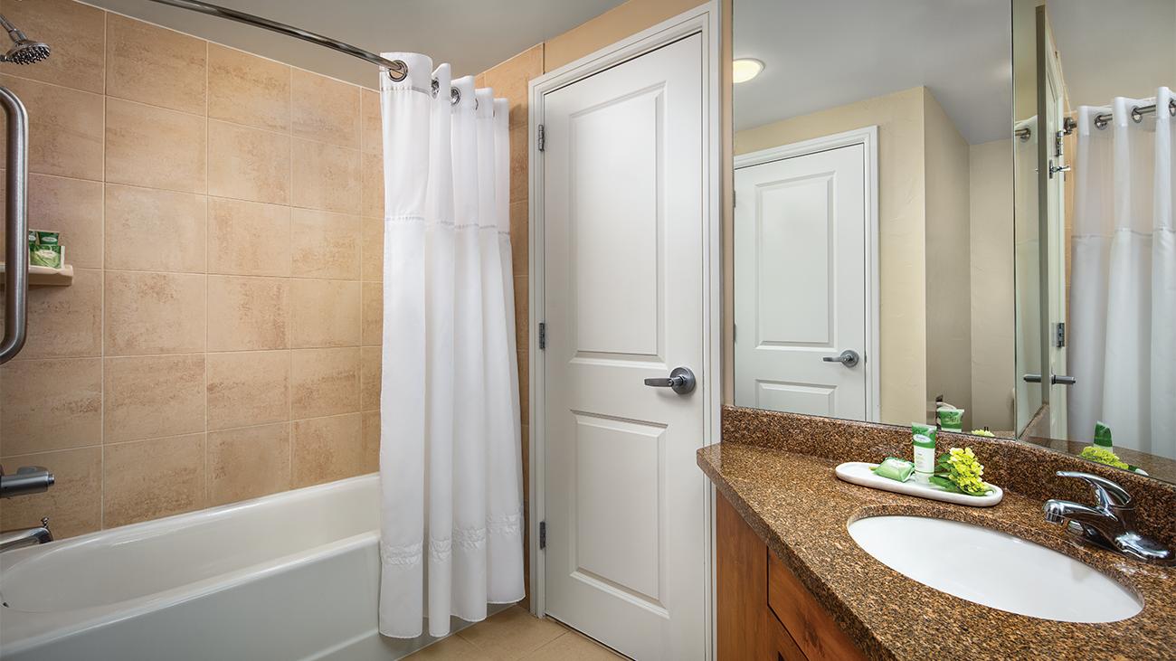 2-Bedroom Loft, Guest Bathroom