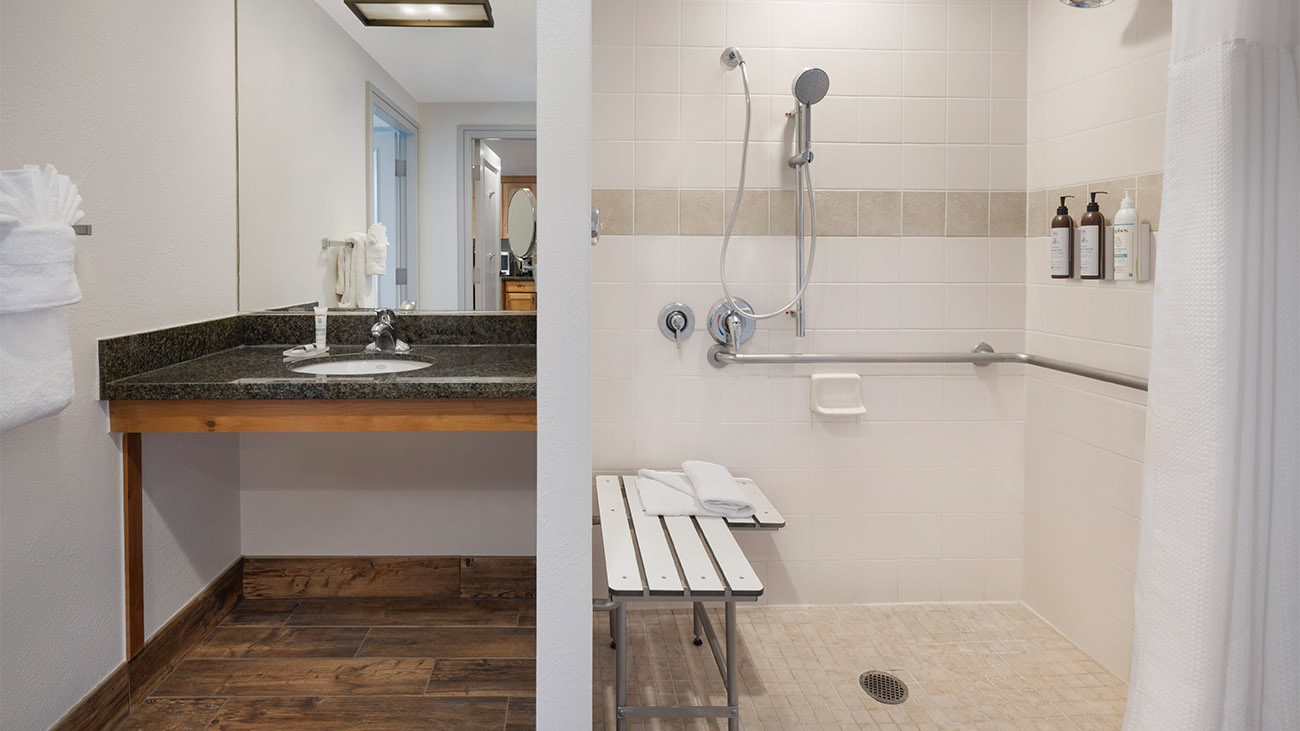 tl-one-two-three-bedroom-ada-bathroom-interior-photo