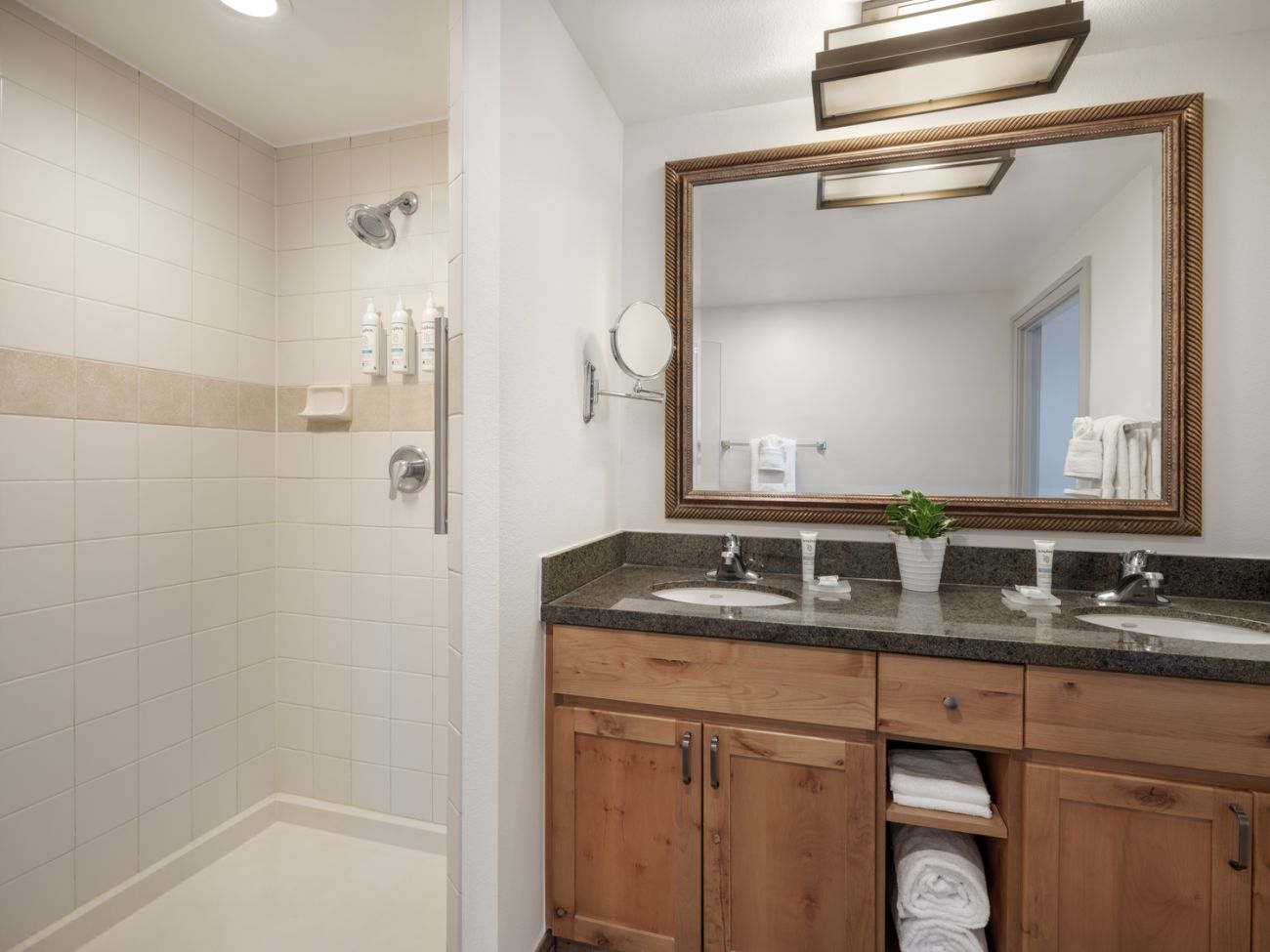 tl-two-or-three-bedroom-bathroom-with-shower-interior-photo