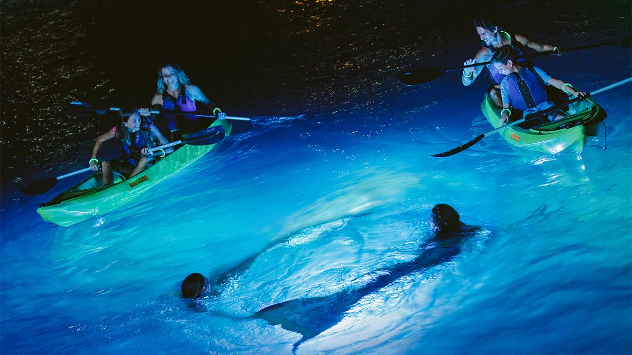 Night Kayaking
