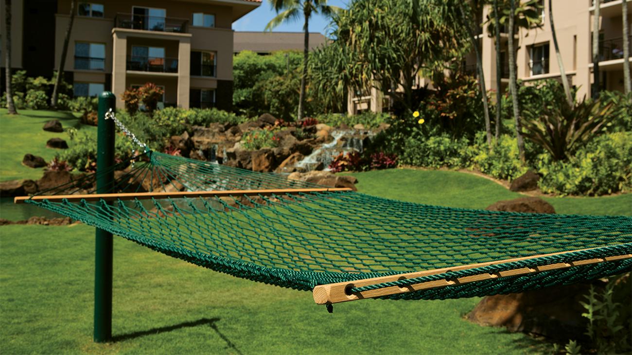 Hammocks