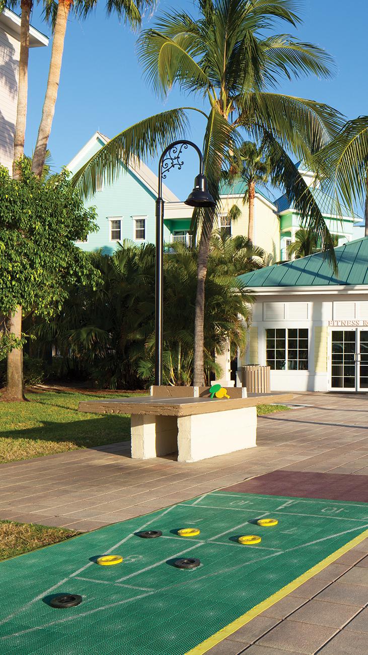 Shuffleboard Court