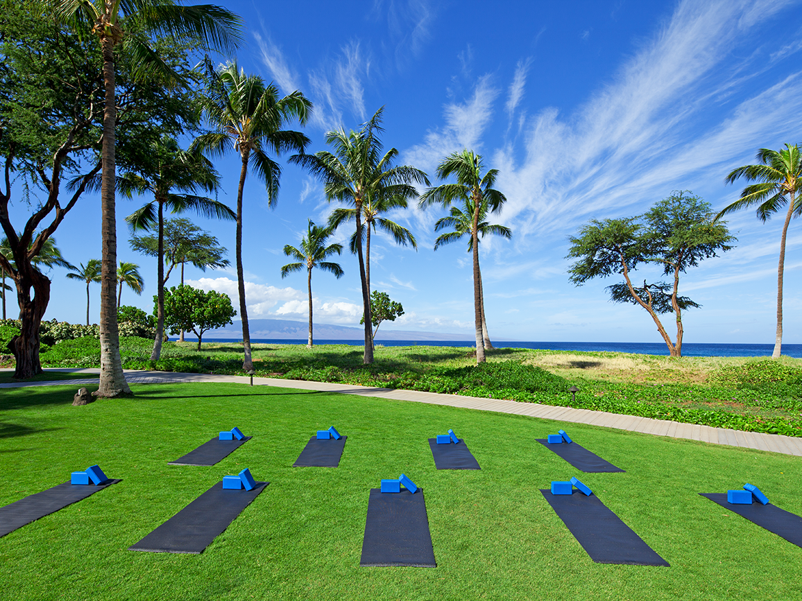 Beach Lawn Yoga