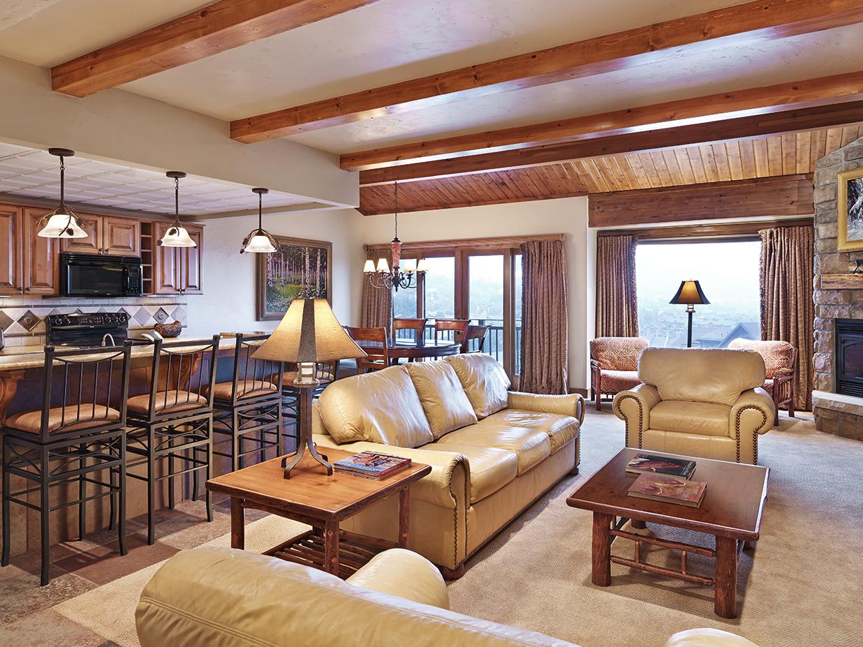 Living Area and Kitchen