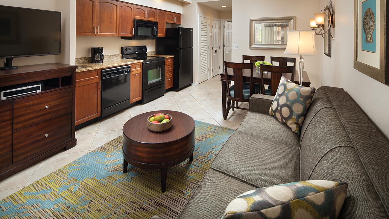 Living Area and Kitchenette