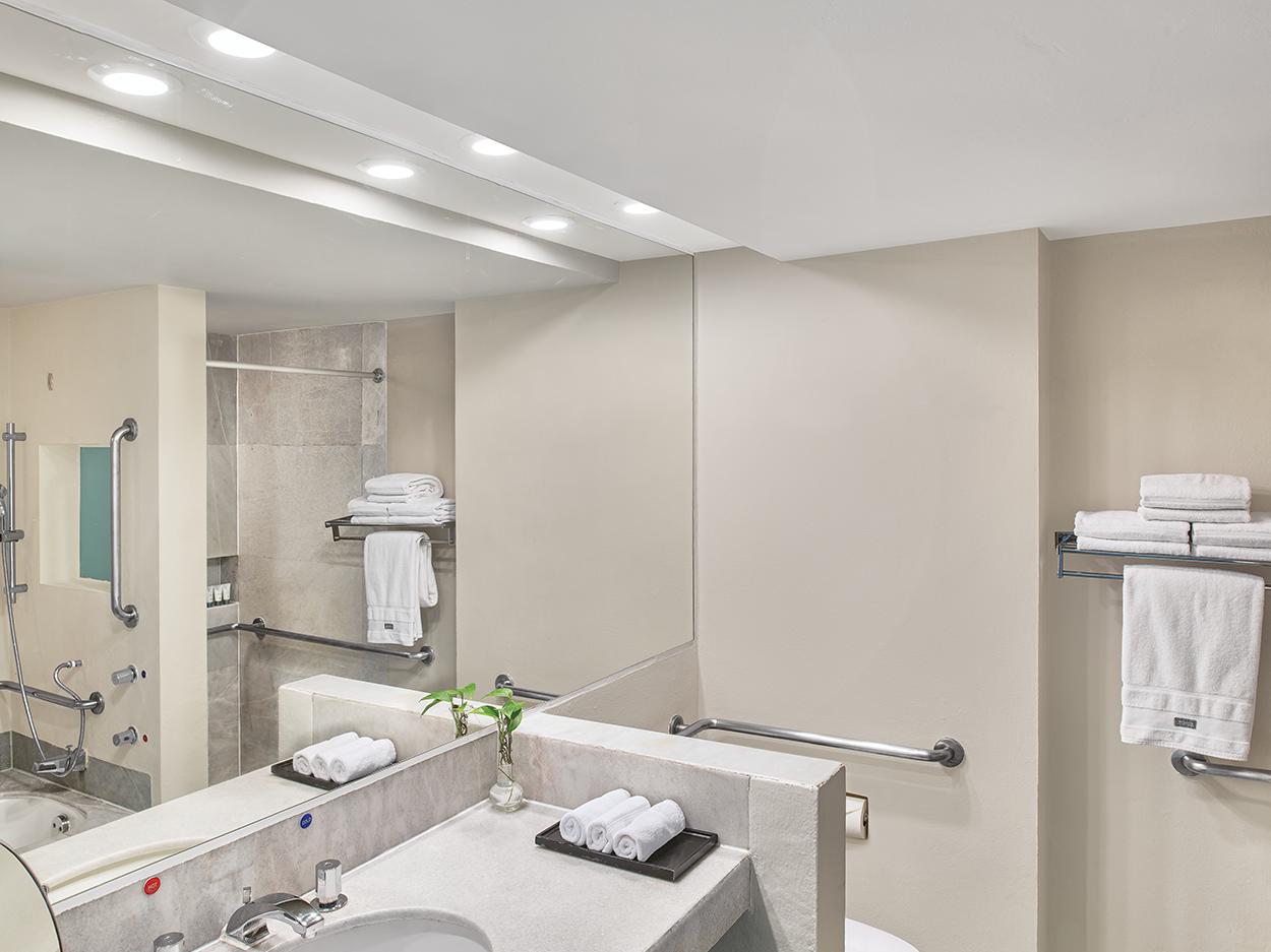Accessible Roll-In Shower