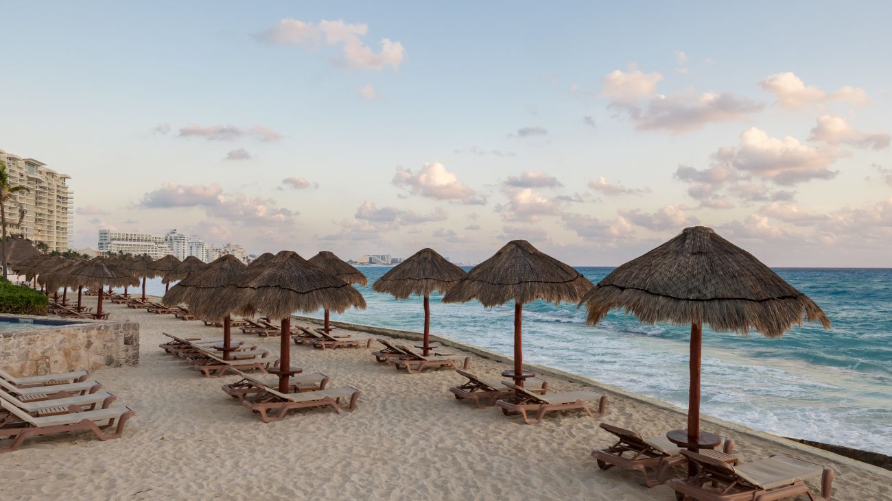 Beach Palapas