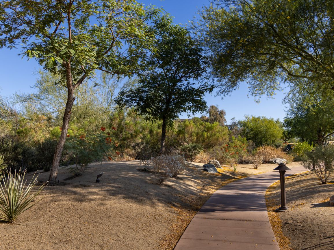 Resort Grounds