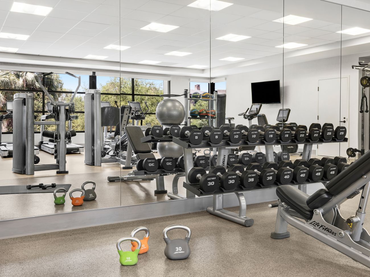 Fitness Center - Weight Area