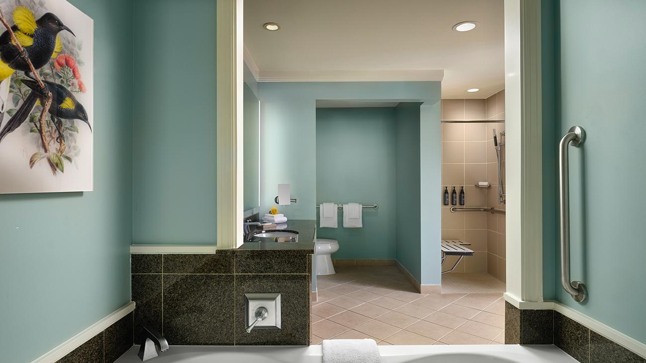 Accessible Bathroom