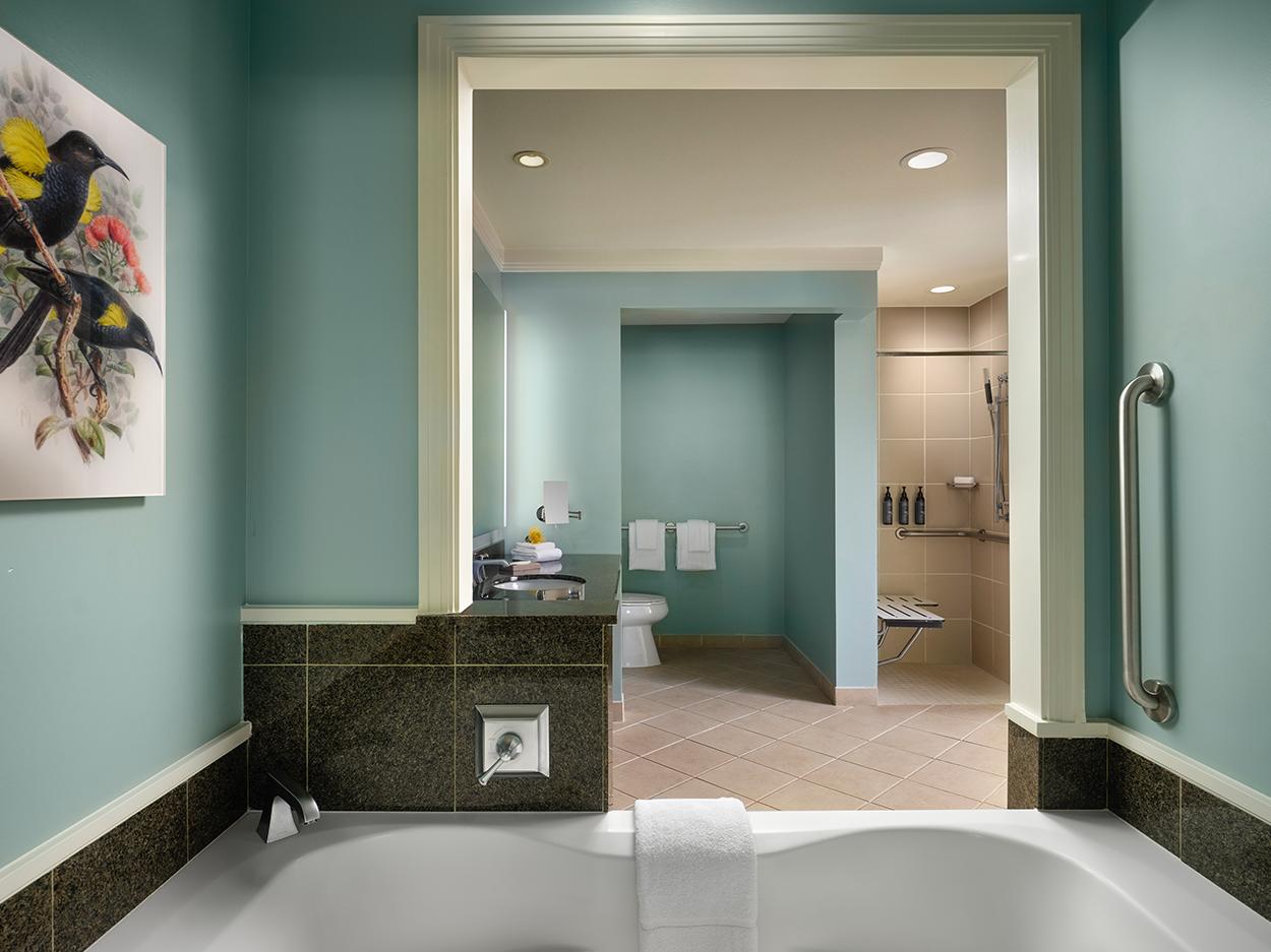 Accessible Bathroom