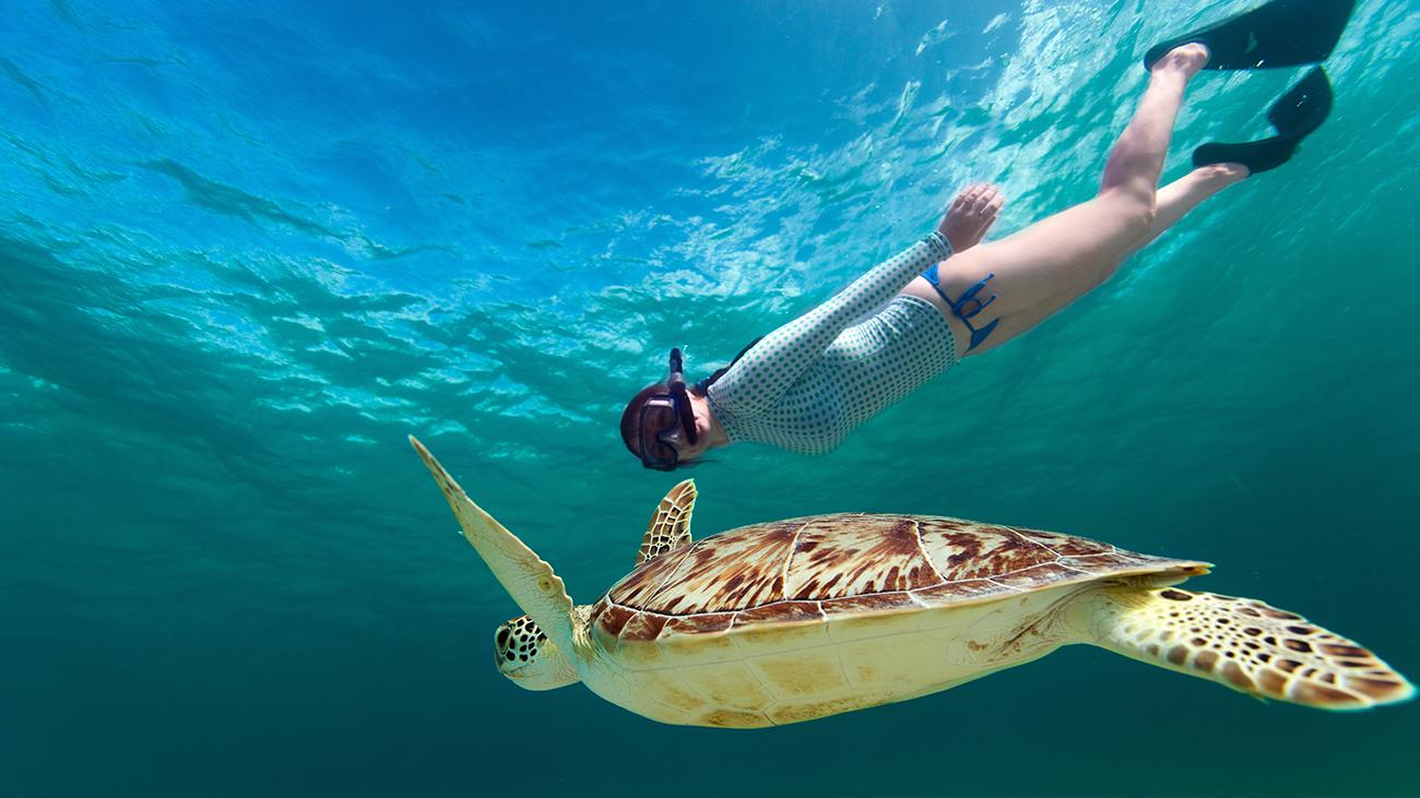Kayaking & Snorkeling