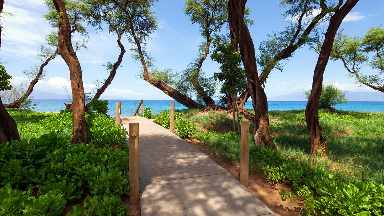 Boardwalk