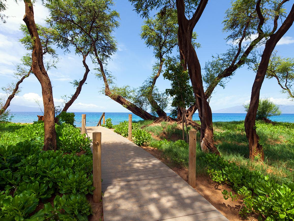 Boardwalk