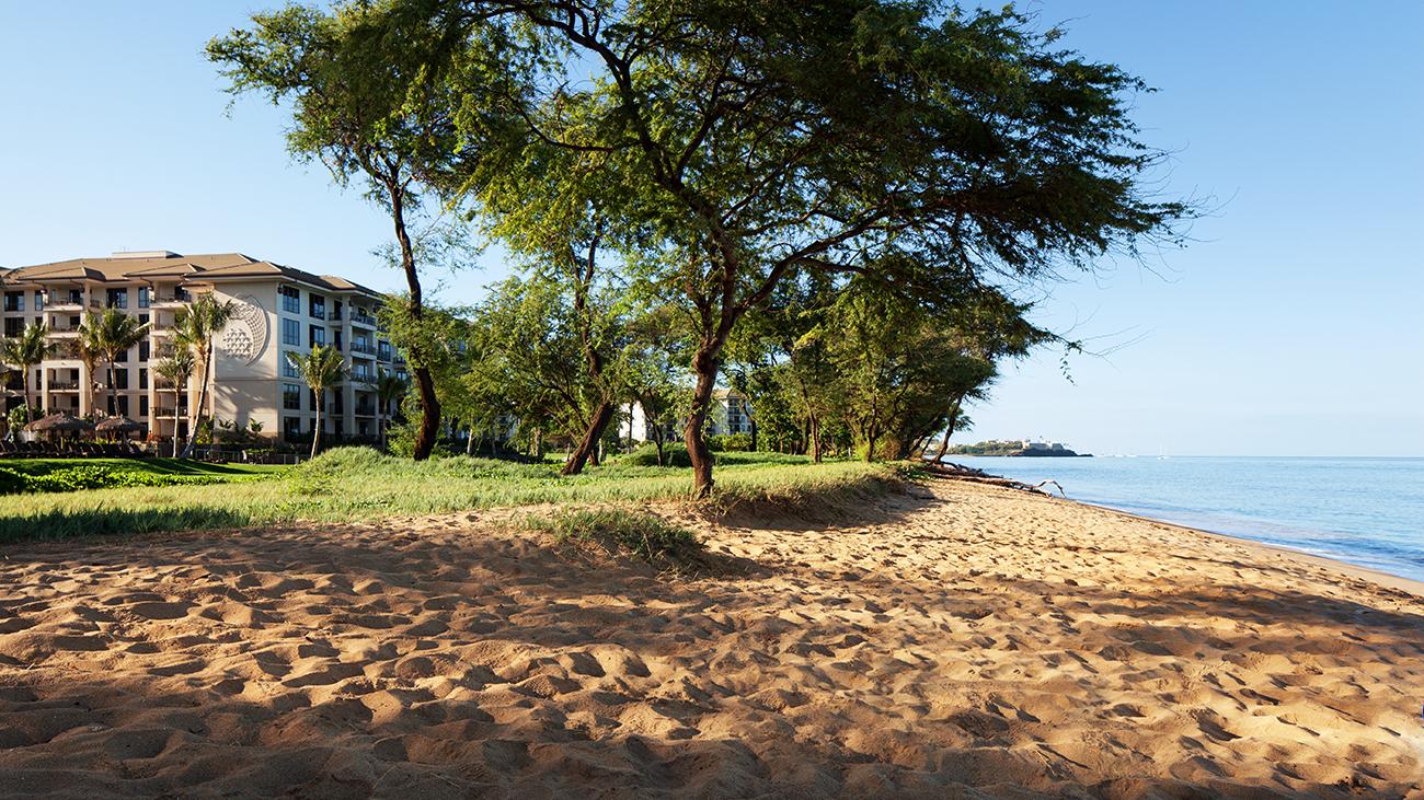Exterior from Beach