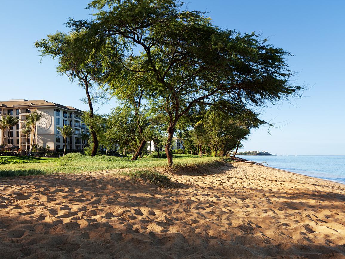 Exterior from Beach