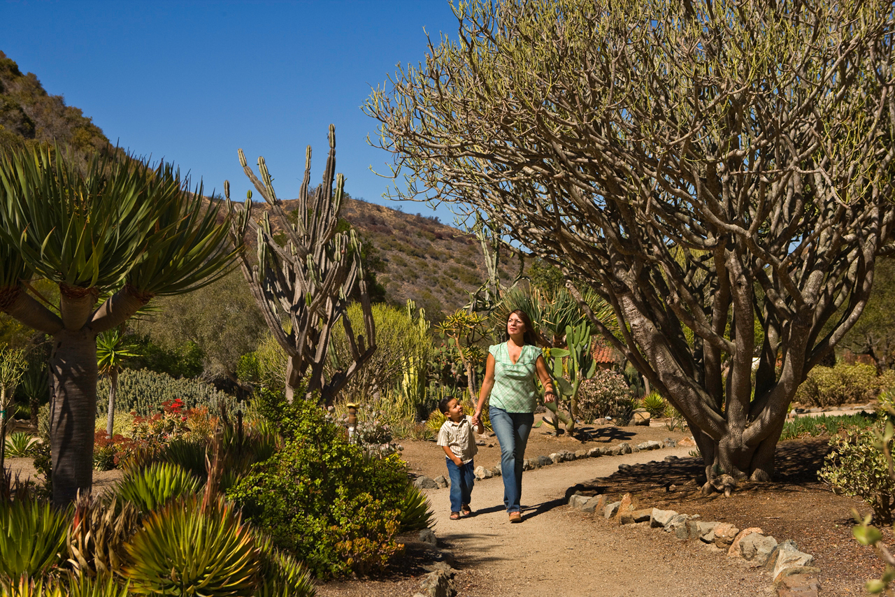 Wrigley's Memorial Gardens, Courtesy Love Catalina