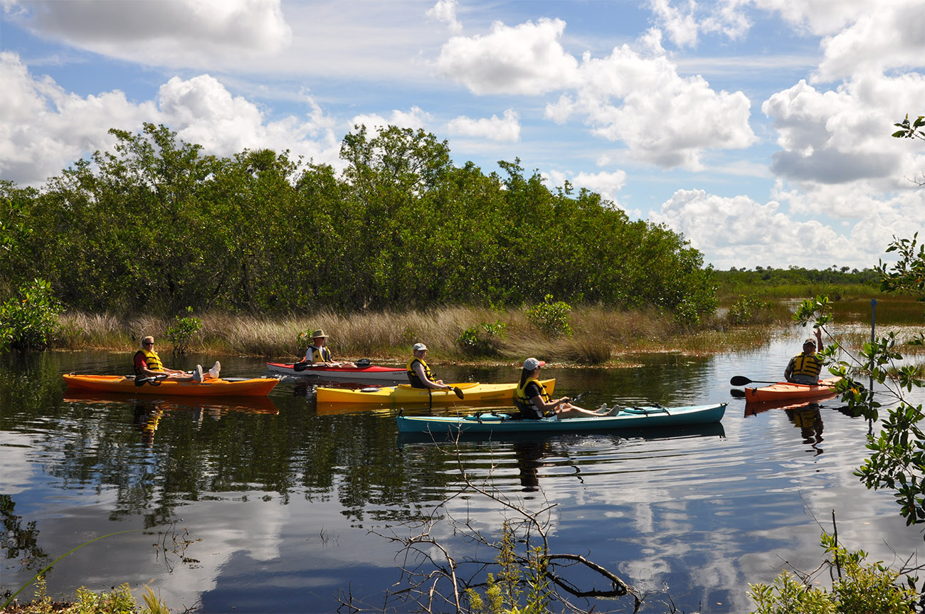 People kayaking in Ten Thousand Islands National Wildlife Refuge