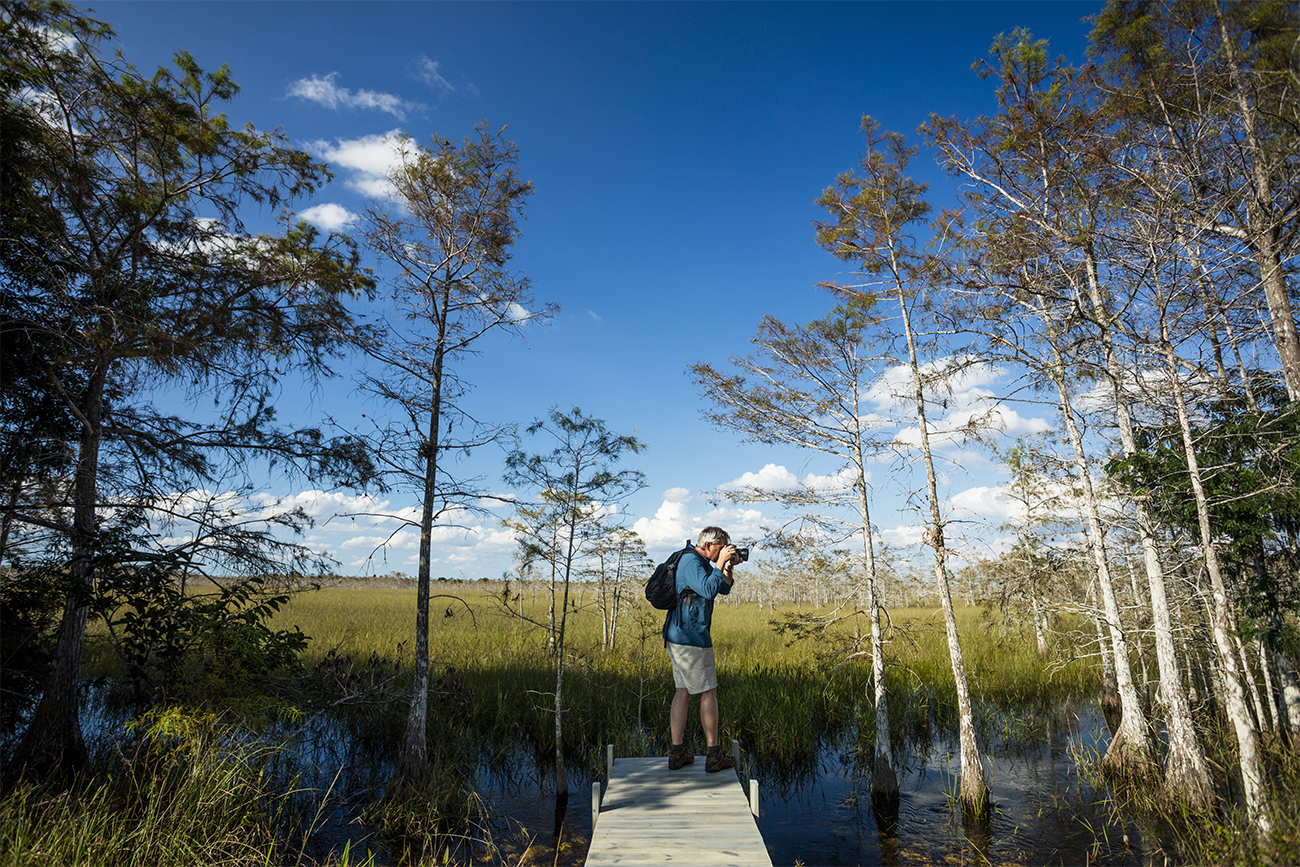 Man taking photos in the Big Cypress, Florida