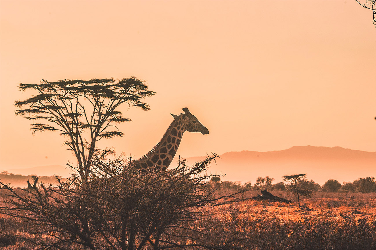 Tour in South Africa