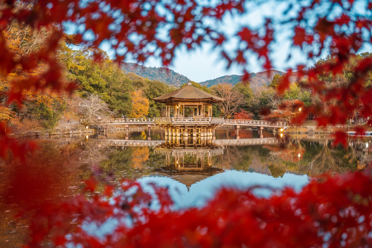 Red leaves frame an ancient temple that sits above a reflective lake.