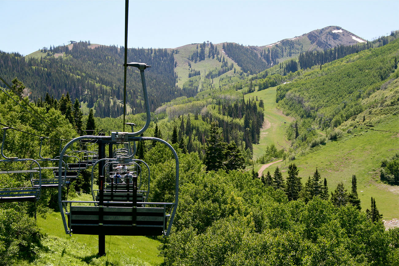 Bright leaves and full trees surround green grass as summer hits Utah.