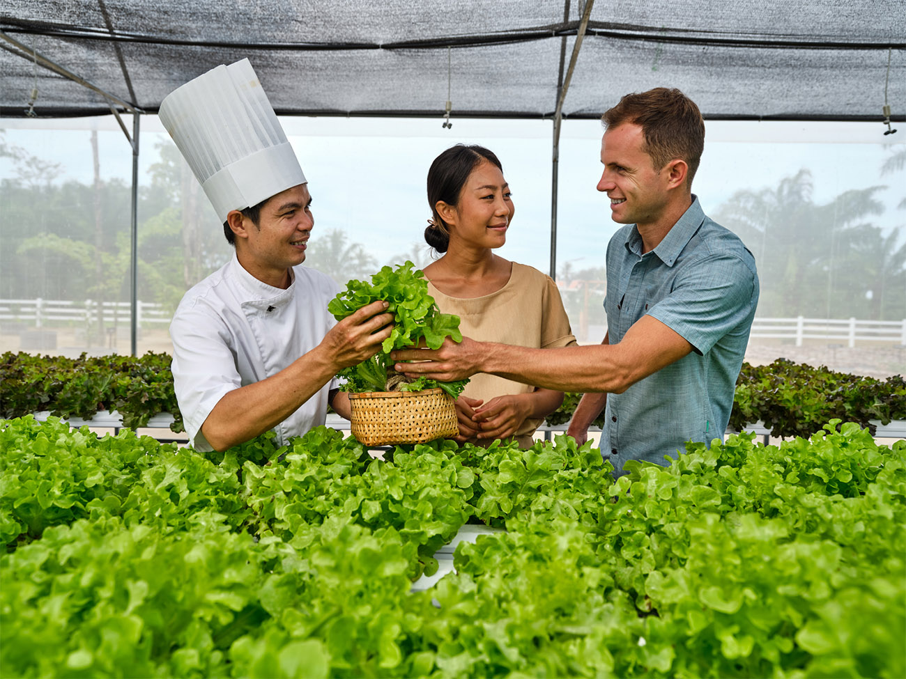 A chef and a couple stand in front of a large table of lettuce and vegetables in a greenhouse.
