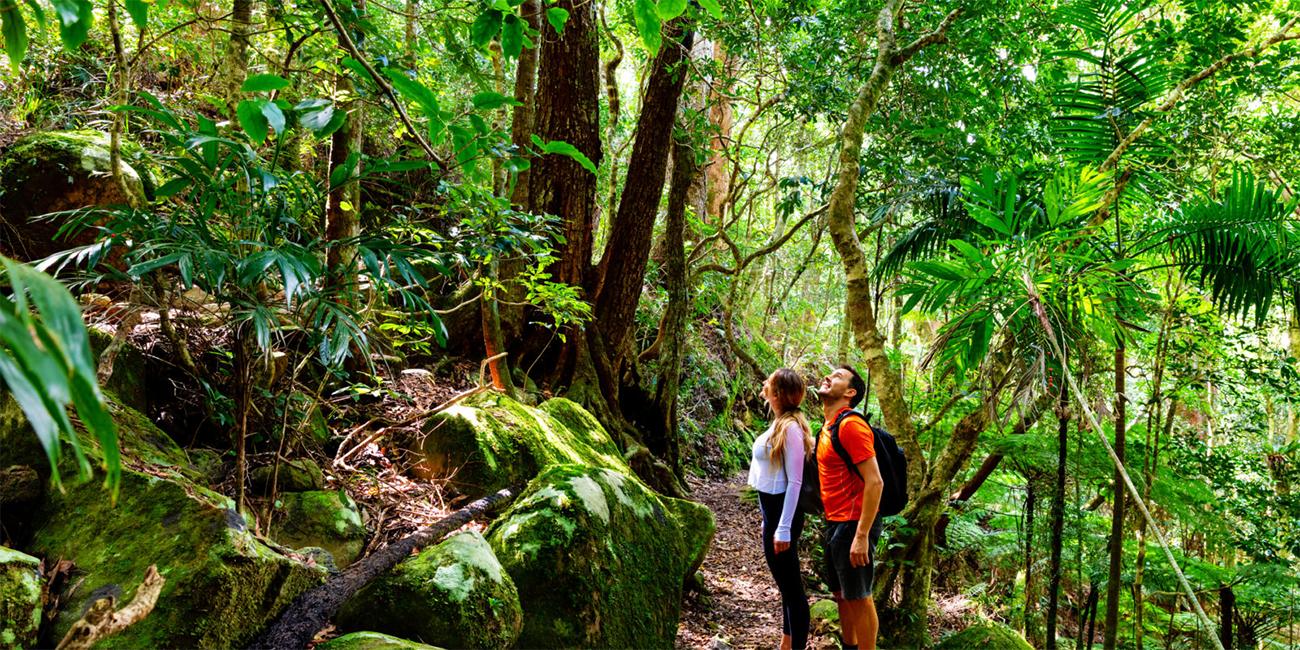 Couple walking on trail in a tropical rainforest in the Australia Gold Coast, a Marriott Vacation Club timeshare destination