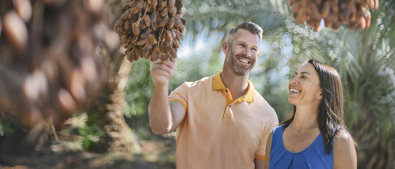 Man and woman looking at hanging dates at the Shields Date Garden near Palm Springs, a Westin Vacation Club destination