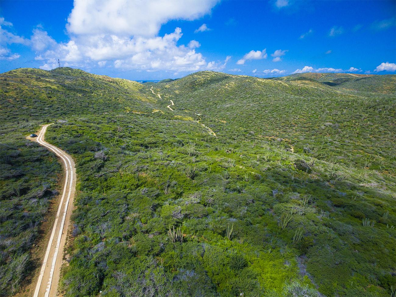 Landscape in Arikok National Park, Aruba