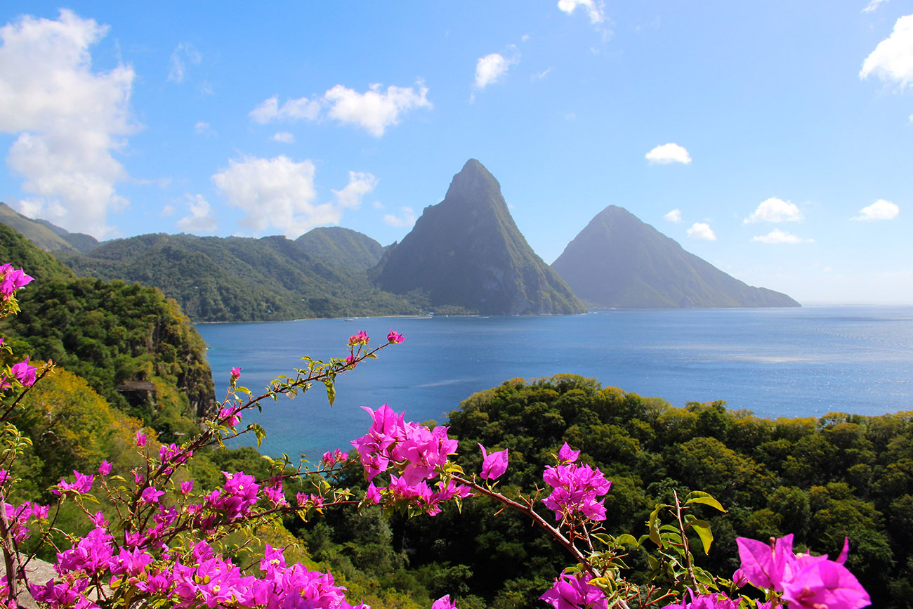 View of Caribbean Bay showing colorful vegetation in foreground and steep mountain peaks in the background