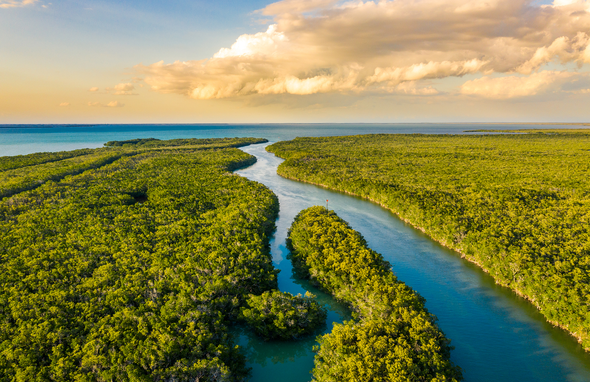 Visit the Florida Everglades